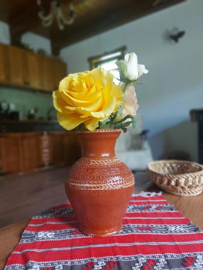 فيلا Casuta Din Rusca Sebesu de Jos المظهر الخارجي الصورة