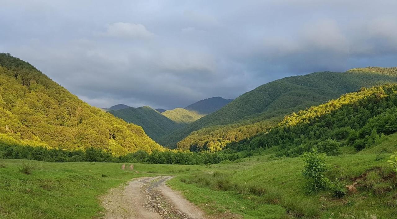 فيلا Casuta Din Rusca Sebesu de Jos المظهر الخارجي الصورة